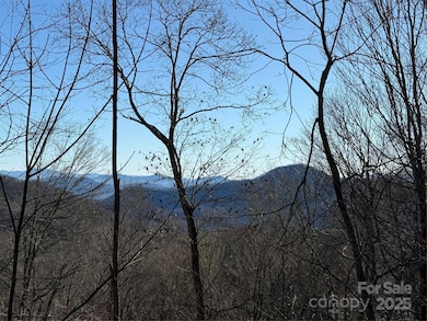 000 Trillium Ln unit 30, Mars Hill, NC 28754 - photo 2