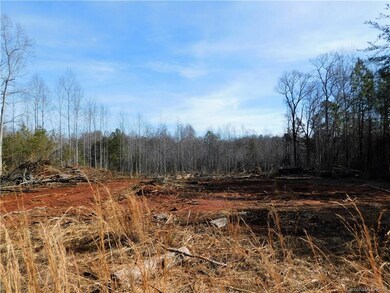 Lot 7 Furnace Rd, Lincolnton, NC 28092 - photo 6