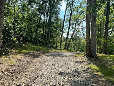 266 Golf Course Rd unit (Tract 9 Skyline Acr, Pebble Township, OH 45690 - photo 3