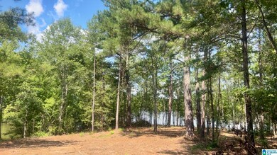 Lot 4/5 Old Highway 431 unit 1, Wedowee, AL 36278 - photo 6