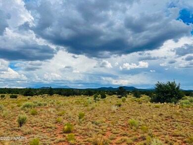 4378 Lasso Loop Photo 11