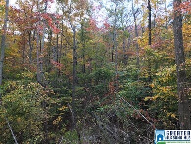 853 Pine Mountain Rd unit 1 Lot, Remlap, AL 35133 - photo 6