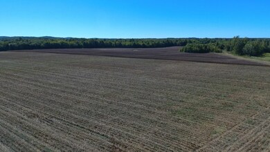 0 Teal Ln unit 10183549, Savannah, TN 38372 - photo 5