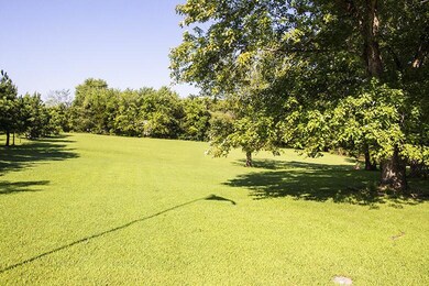 frontyard