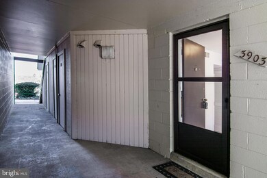 3903 El Camino Place unit 22, Alexandria, VA 22309 - photo 3