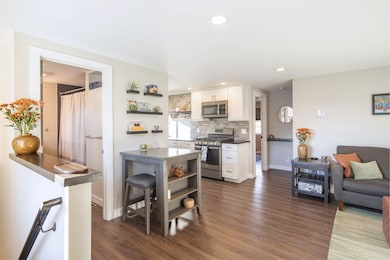 Kitchen featuring open shelves, white cabinets, appliances with stainless steel finishes, dark wood-style flooring, and recessed lighting