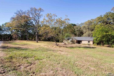 20859 County Road 2207, Arp, TX 75750 - photo 2