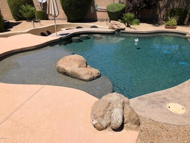 Pool w/ Swim Up Bar Seating