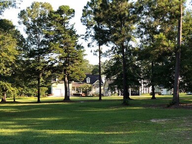 712 Sawmill Rd, Ailey, GA 30410 - photo 4