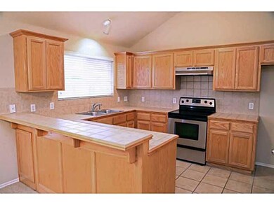 1105 Falco Concolor Dr, Norman, OK 73072 - photo 3