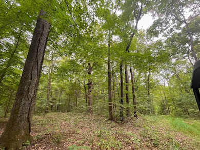 0 Halls Creek Rd, Olaton, KY 42361 - photo 4