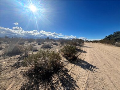 1 Greasewood Ln, Phelan, CA 92371 - photo 4