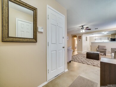 24902 Orchard Acres, San Antonio, TX 78261 - photo 4