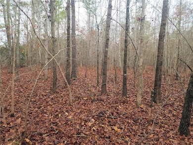 00 Scott Ln, Pelzer, SC 29669 - photo 6