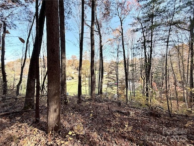 99999 Dix Creek No 1 Rd, Leicester, NC 28748 - photo 7