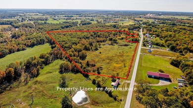 1800 State Highway O, Diggins Township, MO 65746 - photo 3