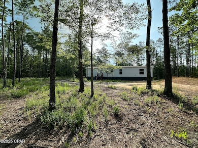 3966 Shell Landing Rd, Vernon, FL 32462 - photo 2