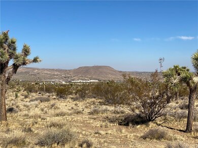 7800 La Contenta Rd, Yucca Valley, CA 92284 - photo 7