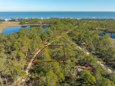 86 Lake View Dr, Bald Point, FL 32346 - photo 5