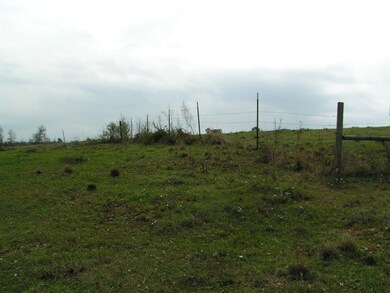 00 Toby Trail, Red Level, AL 36467 - photo 7