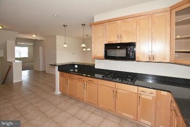 22718 Verde Gate Terrace, Ashburn, VA 20148 - photo 7