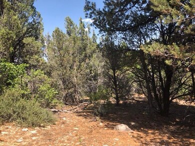 Mild Slopes