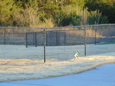 1707 Charismatic Place, Murfreesboro, TN 37128 - photo 4