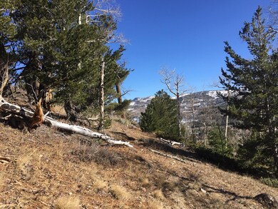 564 W Ski View Dr unit Lot 13 Blk A U C Ski, Brian Head, UT 84719 - photo 6