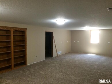 4510 Ruehmann C 0, Davenport, IA 58206 - photo 7