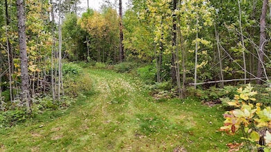 TBD19 Norwich Rd, Ontonagon, MI 49953 - photo 7