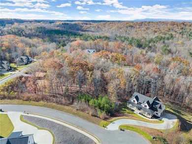 6415 Tranquillity Manor Rd, Dawsonville, GA 30534 - photo 6