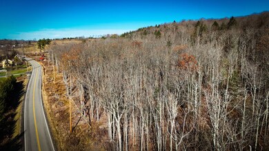 WP-02 Langford Creek Rd, van Etten, NY 14889 - photo 2