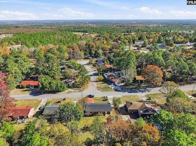 3109 Bachman Rd, Gaston, SC 29053 - photo 2