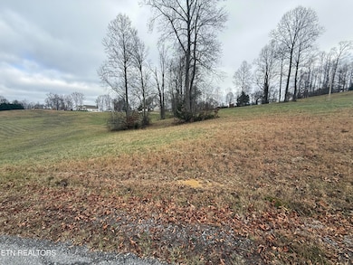 Lot #28 Oak Point Dr, Jonesville, VA 24263 - photo 4