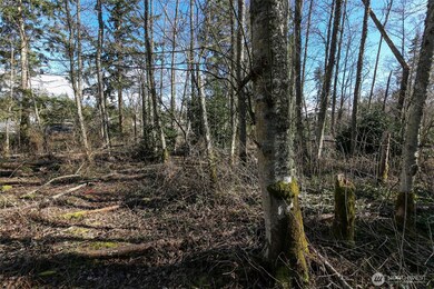 1231 Red Fox Ln, Freeland, WA 98249 - photo 7