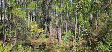 905 NE 6th St, Carrabelle, FL 32322 - photo 2