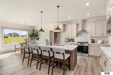 9903 S 181st St, Omaha, NE 68136 - photo 7