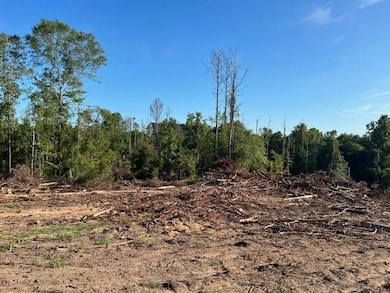 0 Curry Rd, Monroeville, AL 36460 - photo 6