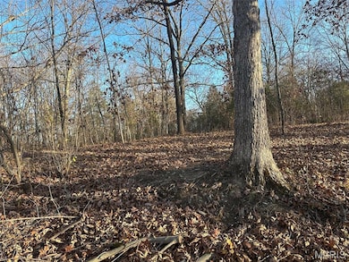 21 Wagon Creek Loop, Creal Springs, IL 62922 - photo 2