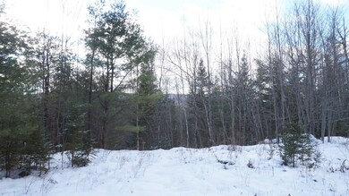 0 Nichols Rd, Dalton, NH 03598 - photo 4