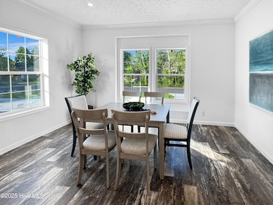 1009 Pine Ridge Ct, Castle Hayne, NC 28429 - photo 4