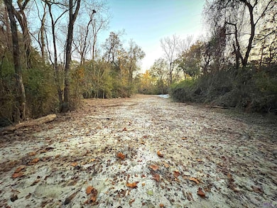 9684 Hooper Rd, Baton Rouge, LA 70818 - photo 4