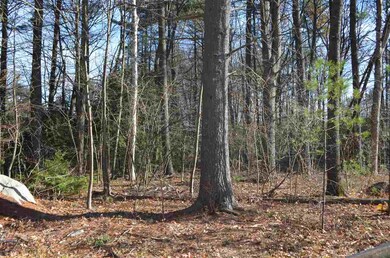 17 Bowtie, Hooksett, NH 03106 - photo 6