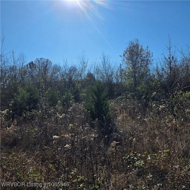 Tract 3 E 1290 Rd, McCurtain, OK 74944 - photo 4