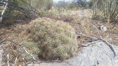 Lot 243 Blye Canyon -- unit 723, Peach Springs, AZ 86434 - photo 3