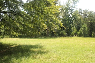 437 Billstown Rd, Delight, AR 71940 - photo 2