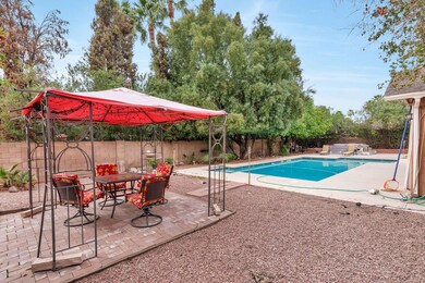 Great backyard
