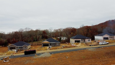 LOT 2 Coal Mountain Rd, El Paso, AR 72045 - photo 4