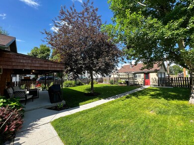Back yard