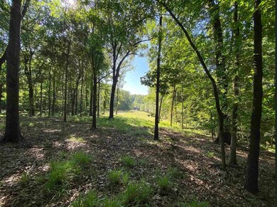 View of landscape featuring a forest view